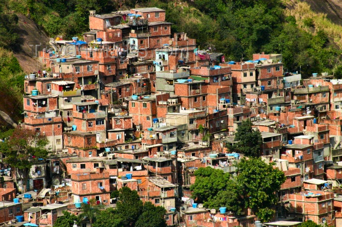 the favela
